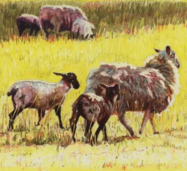 平成23年（紙に色鉛筆）